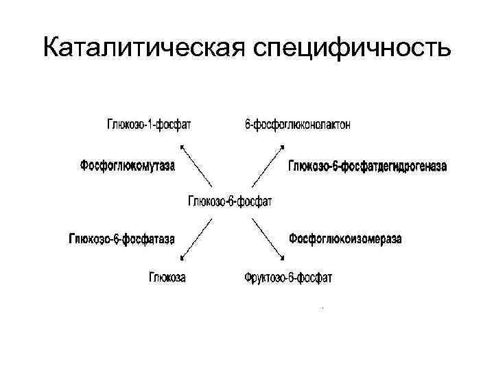 Каталитическая специфичность 