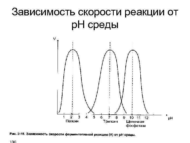 Зависимость скорости реакции от р. Н среды 