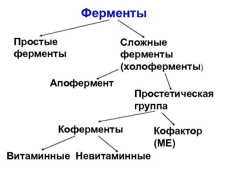 Ферменты Простые ферменты Сложные ферменты (холоферменты) Апофермент Простетическая группа Коферменты Витаминные Невитаминные Кофактор (МЕ)
