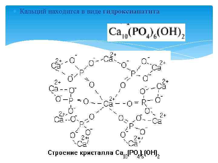  Кальций находится в виде гидроксиапатита 