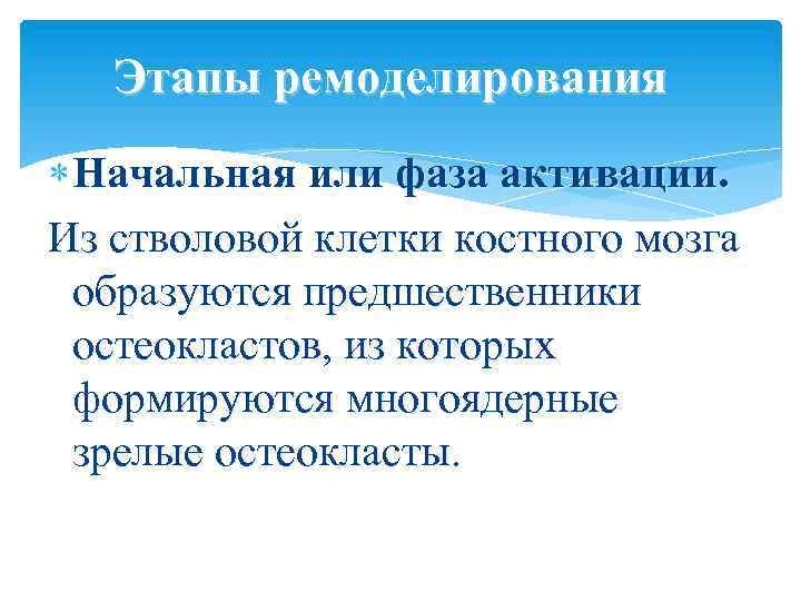 Этапы ремоделирования Начальная или фаза активации. Из стволовой клетки костного мозга образуются предшественники остеокластов,