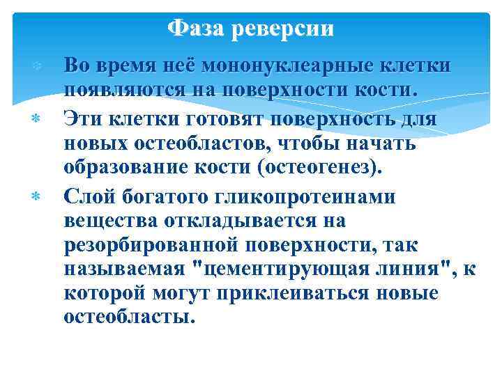 Фаза реверсии Во время неё мононуклеарные клетки появляются на поверхности кости. Эти клетки готовят