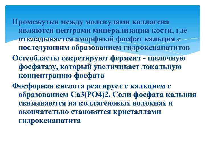 Промежутки между молекулами коллагена являются центрами минерализации кости, где откладывается аморфный фосфат кальция с