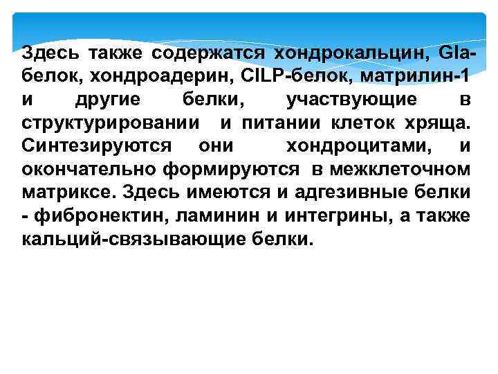 Здесь также содержатся хондрокальцин, Glaбелок, хондроадерин, CILP-белок, матрилин-1 и другие белки, участвующие в структурировании