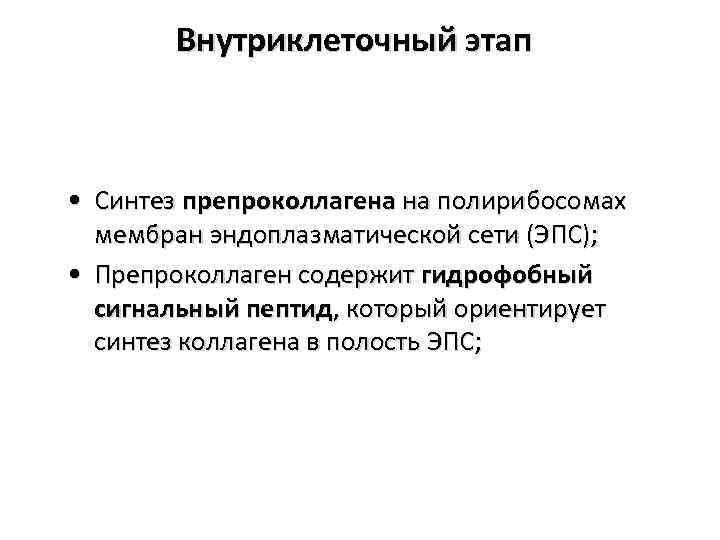 Внутриклеточный этап • Синтез препроколлагена на полирибосомах мембран эндоплазматической сети (ЭПС); • Препроколлаген содержит