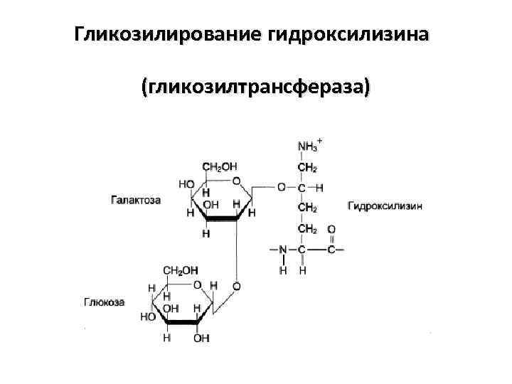 Гликозилирование волос что это