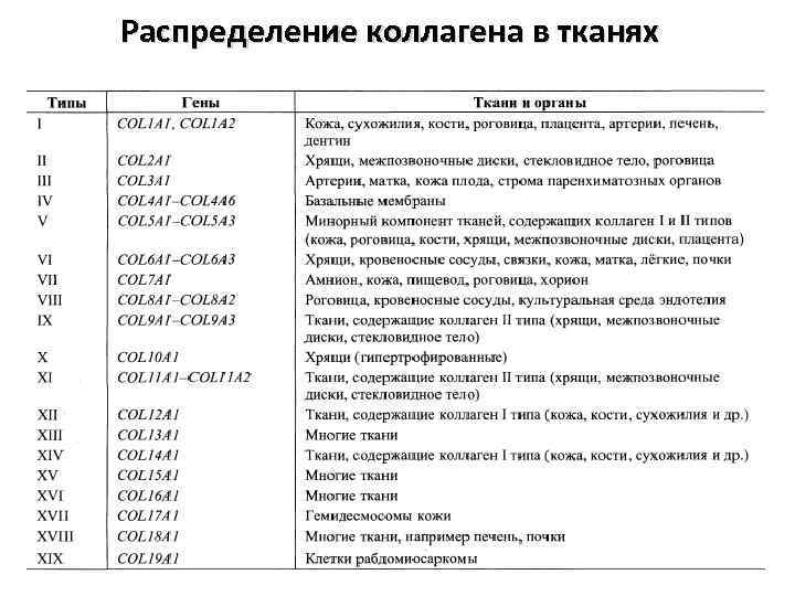 Типы коллагена. Таблица распределения различных типов коллагена. Распределение коллагена в тканях и органах. Типы коллагена и их функции.