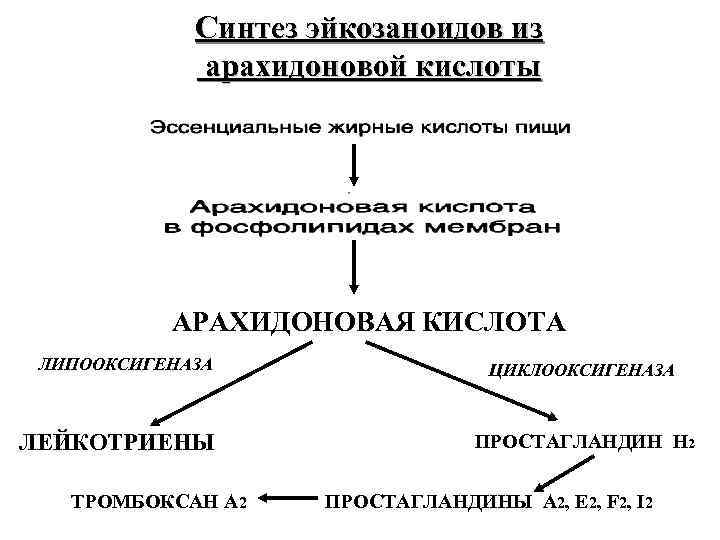 Простагландины схема синтеза