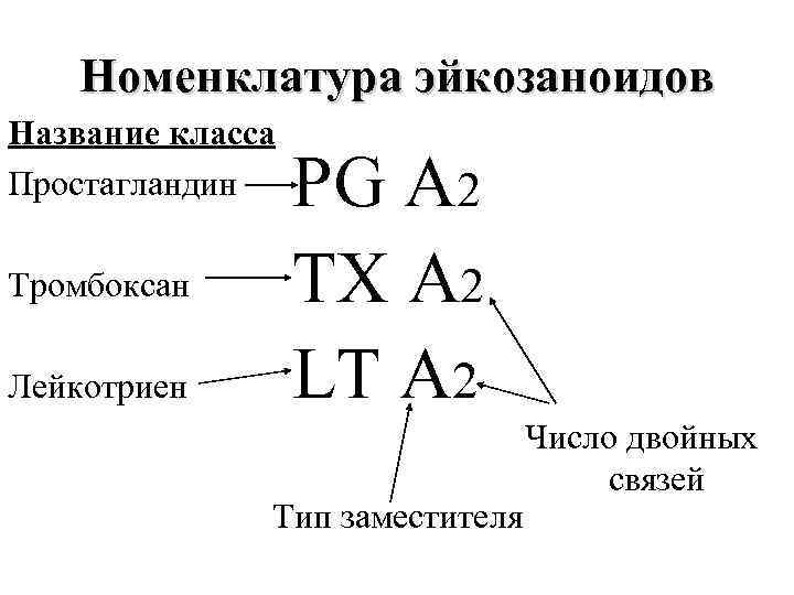 Номенклатура эйкозаноидов Название класса Простагландин Тромбоксан Лейкотриен PG A 2 TX A 2 LT