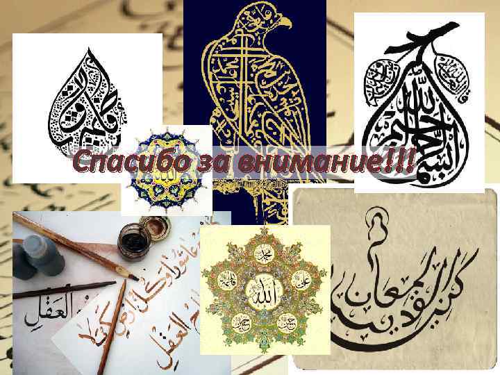 Спасибо за внимание!!! 