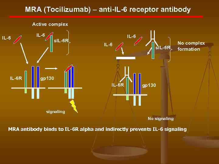 MRA (Tocilizumab) – anti-IL-6 receptor antibody Active complex IL-6 R IL-6 s. IL-6 R