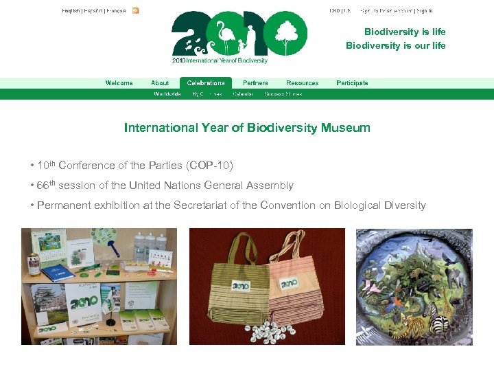 Biodiversity is life Biodiversity is our life International Year of Biodiversity Museum • 10