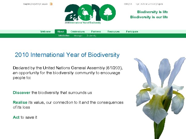 Biodiversity is life Biodiversity is our life 2010 International Year of Biodiversity Declared by