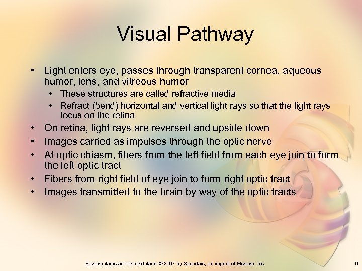 Visual Pathway • Light enters eye, passes through transparent cornea, aqueous humor, lens, and