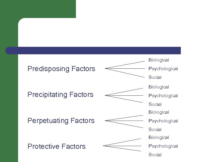 Biological Predisposing Factors Psychological Social Biological Precipitating Factors Psychological Social Biological Perpetuating Factors Psychological