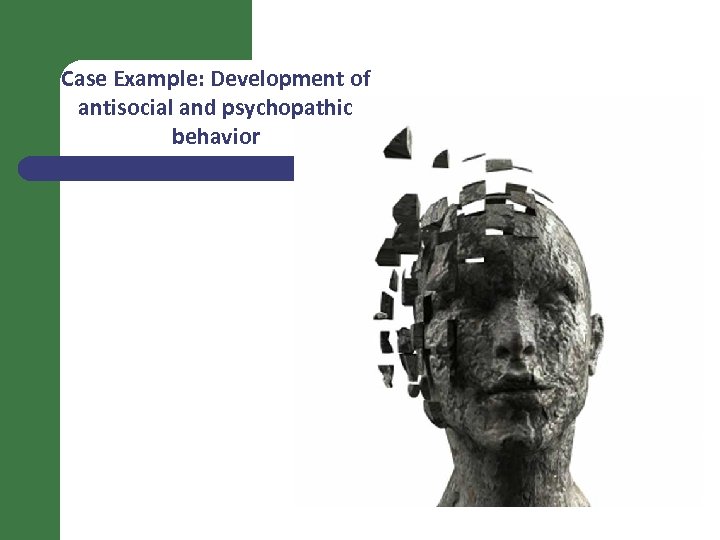 Case Example: Development of antisocial and psychopathic behavior 