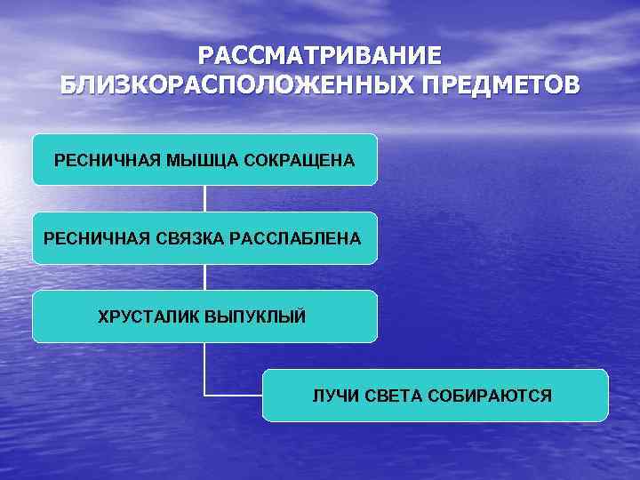 РАССМАТРИВАНИЕ БЛИЗКОРАСПОЛОЖЕННЫХ ПРЕДМЕТОВ РЕСНИЧНАЯ МЫШЦА СОКРАЩЕНА РЕСНИЧНАЯ СВЯЗКА РАССЛАБЛЕНА ХРУСТАЛИК ВЫПУКЛЫЙ ЛУЧИ СВЕТА СОБИРАЮТСЯ