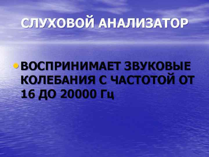 СЛУХОВОЙ АНАЛИЗАТОР • ВОСПРИНИМАЕТ ЗВУКОВЫЕ КОЛЕБАНИЯ С ЧАСТОТОЙ ОТ 16 ДО 20000 Гц 