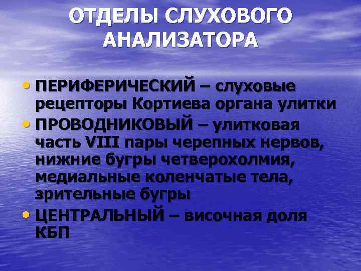 ОТДЕЛЫ СЛУХОВОГО АНАЛИЗАТОРА • ПЕРИФЕРИЧЕСКИЙ – слуховые рецепторы Кортиева органа улитки • ПРОВОДНИКОВЫЙ –