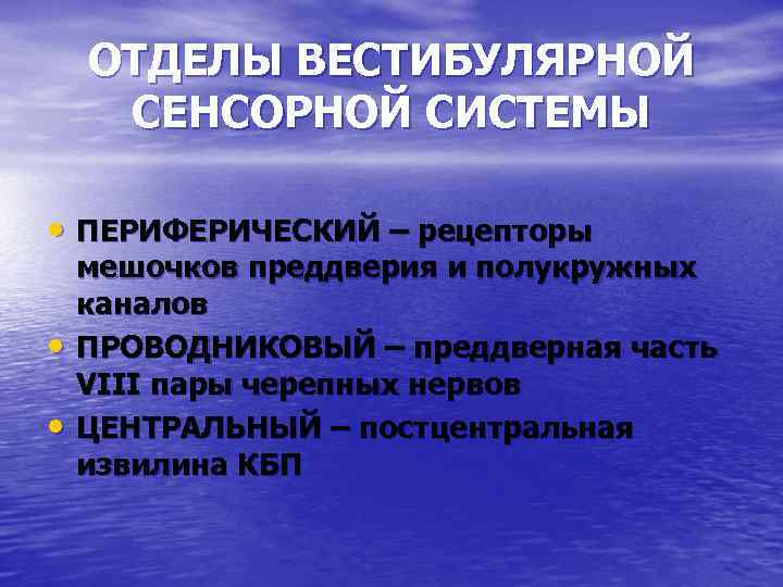 ОТДЕЛЫ ВЕСТИБУЛЯРНОЙ СЕНСОРНОЙ СИСТЕМЫ • ПЕРИФЕРИЧЕСКИЙ – рецепторы • • мешочков преддверия и полукружных