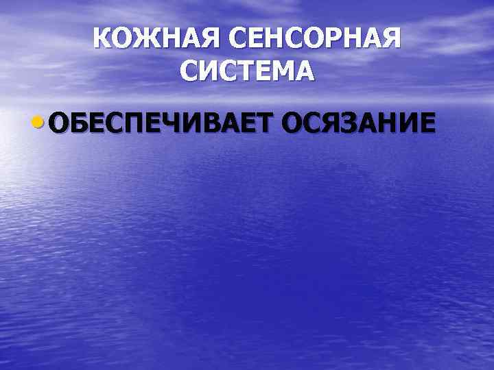 КОЖНАЯ СЕНСОРНАЯ СИСТЕМА • ОБЕСПЕЧИВАЕТ ОСЯЗАНИЕ 