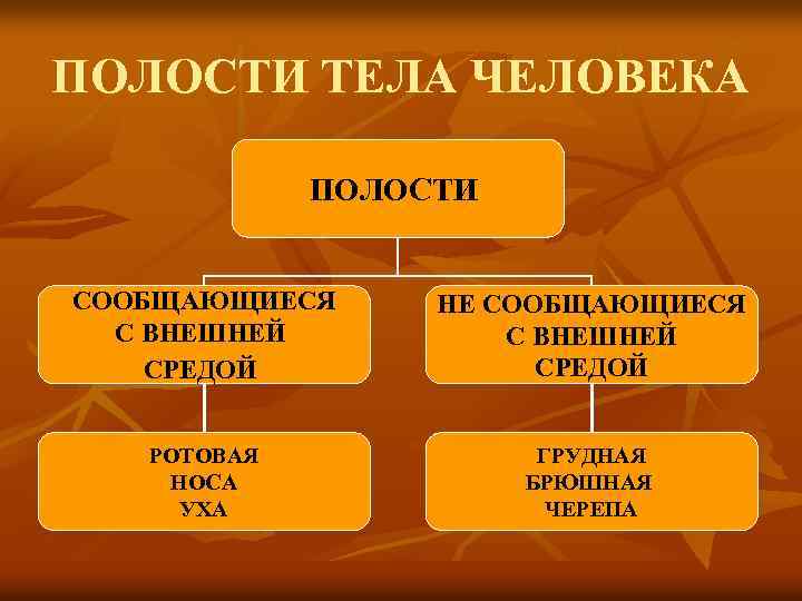 ПОЛОСТИ ТЕЛА ЧЕЛОВЕКА ПОЛОСТИ СООБЩАЮЩИЕСЯ С ВНЕШНЕЙ СРЕДОЙ НЕ СООБЩАЮЩИЕСЯ С ВНЕШНЕЙ СРЕДОЙ РОТОВАЯ