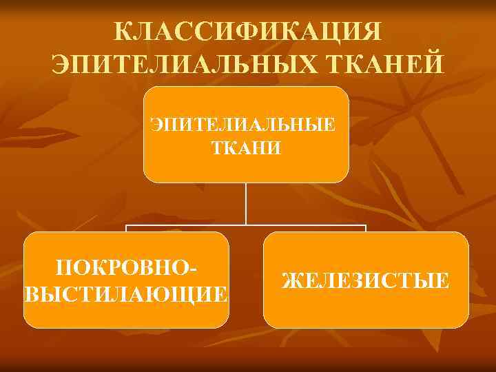 КЛАССИФИКАЦИЯ ЭПИТЕЛИАЛЬНЫХ ТКАНЕЙ ЭПИТЕЛИАЛЬНЫЕ ТКАНИ ПОКРОВНОВЫСТИЛАЮЩИЕ ЖЕЛЕЗИСТЫЕ 