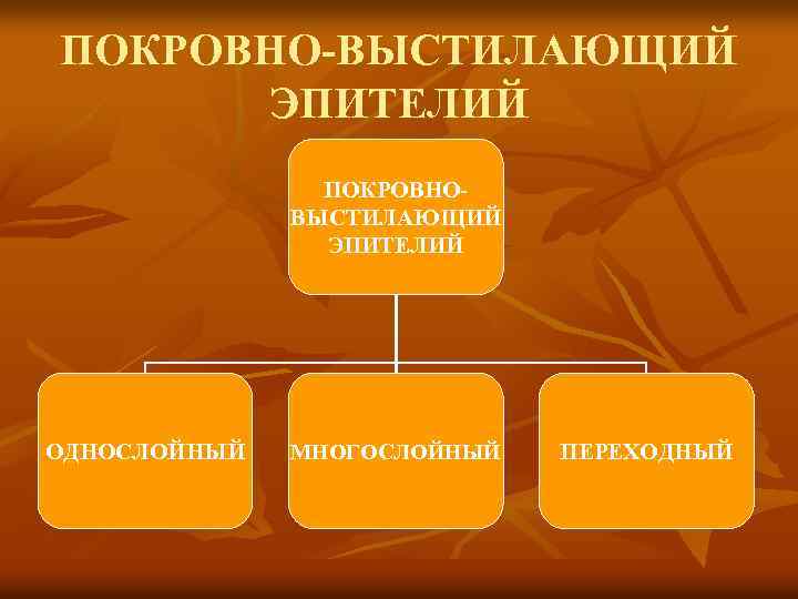 ПОКРОВНО-ВЫСТИЛАЮЩИЙ ЭПИТЕЛИЙ ПОКРОВНОВЫСТИЛАЮЩИЙ ЭПИТЕЛИЙ ОДНОСЛОЙНЫЙ МНОГОСЛОЙНЫЙ ПЕРЕХОДНЫЙ 