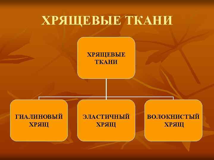 ХРЯЩЕВЫЕ ТКАНИ ГИАЛИНОВЫЙ ХРЯЩ ЭЛАСТИЧНЫЙ ХРЯЩ ВОЛОКНИСТЫЙ ХРЯЩ 