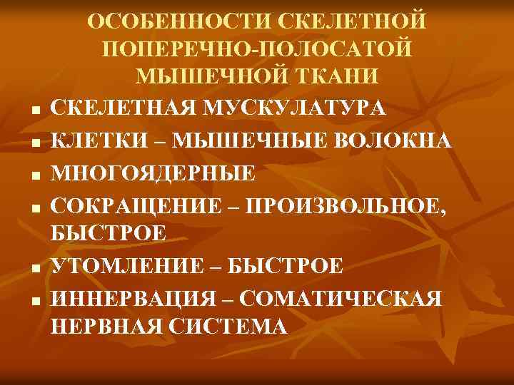 n n n ОСОБЕННОСТИ СКЕЛЕТНОЙ ПОПЕРЕЧНО-ПОЛОСАТОЙ МЫШЕЧНОЙ ТКАНИ СКЕЛЕТНАЯ МУСКУЛАТУРА КЛЕТКИ – МЫШЕЧНЫЕ ВОЛОКНА