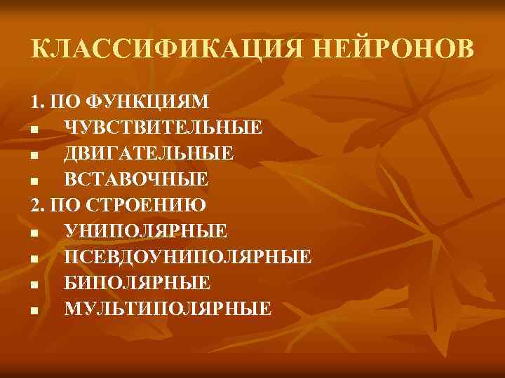 КЛАССИФИКАЦИЯ НЕЙРОНОВ 1. ПО ФУНКЦИЯМ n ЧУВСТВИТЕЛЬНЫЕ n ДВИГАТЕЛЬНЫЕ n ВСТАВОЧНЫЕ 2. ПО СТРОЕНИЮ