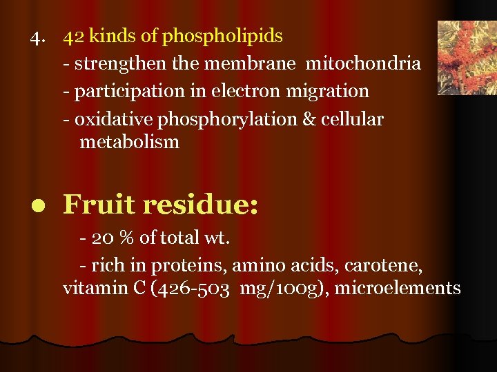 4. 42 kinds of phospholipids - strengthen the membrane mitochondria - participation in electron