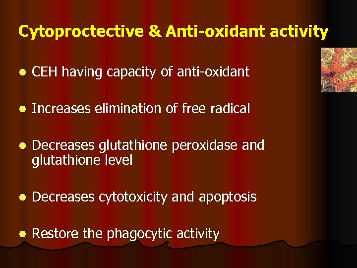 Cytoproctective & Anti-oxidant activity l CEH having capacity of anti-oxidant l Increases elimination of