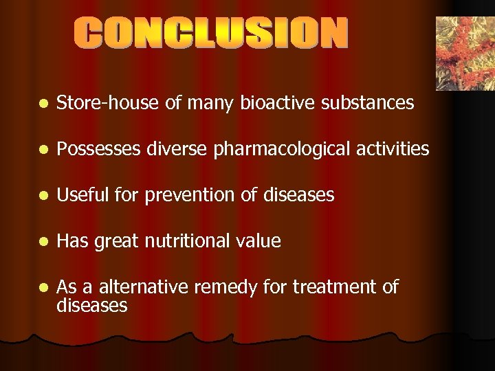 l Store-house of many bioactive substances l Possesses diverse pharmacological activities l Useful for