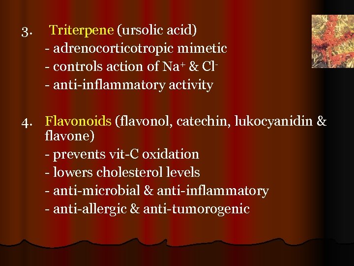 3. Triterpene (ursolic acid) - adrenocorticotropic mimetic - controls action of Na+ & Cl-