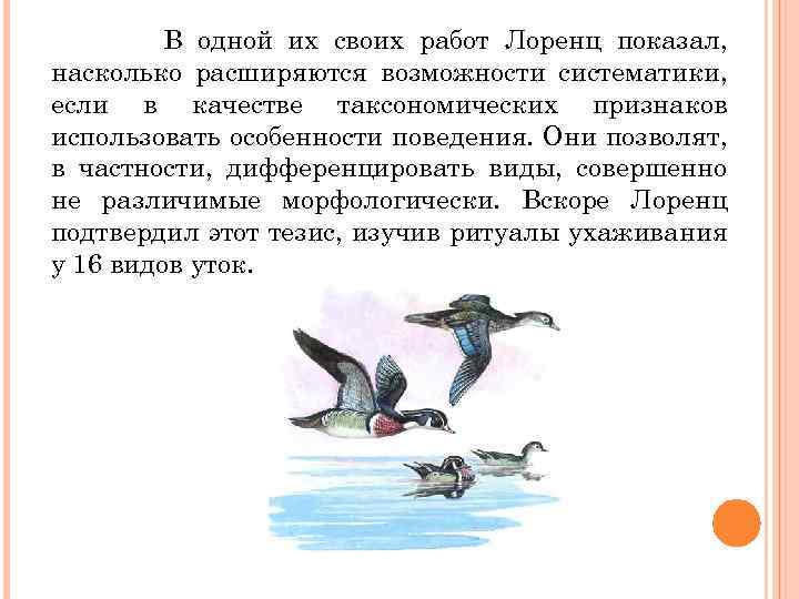 В одной их своих работ Лоренц показал, насколько расширяются возможности систематики, если в качестве