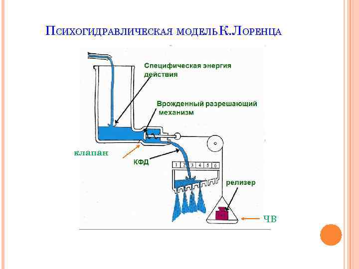 ПСИХОГИДРАВЛИЧЕСКАЯ МОДЕЛЬ К. ЛОРЕНЦА клапан ЧВ 