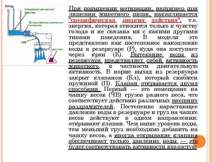  При повышении мотивации, например при лишении животного пиши, накапливается 