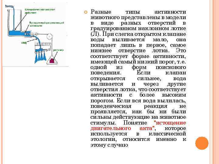  Разные типы активности животного представлены в модели в виде разных отверстий в градуированном