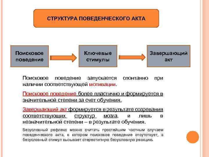 СТРУКТУРА ПОВЕДЕНЧЕСКОГО АКТА Поисковое поведение Ключевые стимулы Поисковое поведение запускается наличии соответствующей мотивации. Завершающий