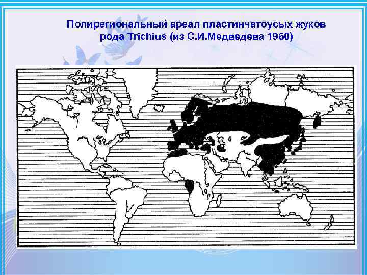 Определенный ареал. Полирегиональный ареал. Типология ареалов. Ареал жуки. Сеточный метод картирования ареалов.