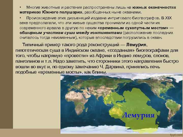 Профессия биогеограф 6 класс. Антропоген материки. Распространенные животные в Южном полушарии. Какие животные и растения распространены на Южном полушарии. Антропоген растения.