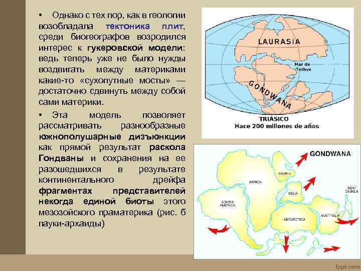 Профессия биогеограф 6 класс. Сухопутные мосты между материками. Сухопутные мосты между материками в прошлом. Причина раскола праматерика Гондваны. Материки в прошлом соединялись сухопутными мостами.