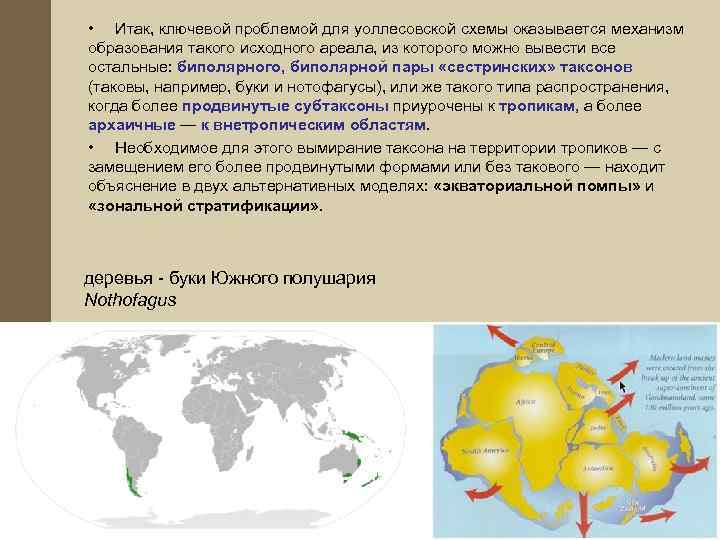  • Итак, ключевой проблемой для уоллесовской схемы оказывается механизм образования такого исходного ареала,