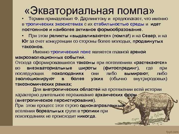  «Экваториальная помпа» • Термин принадлежит Ф. Дарлингтону и предполагает, что именно в тропических