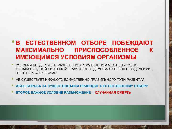  • В ЕСТЕСТВЕННОМ ОТБОРЕ ПОБЕЖДАЮТ МАКСИМАЛЬНО ПРИСПОСОБЛЕННОЕ К ИМЕЮЩИМСЯ УСЛОВИЯМ ОРГАНИЗМЫ • •