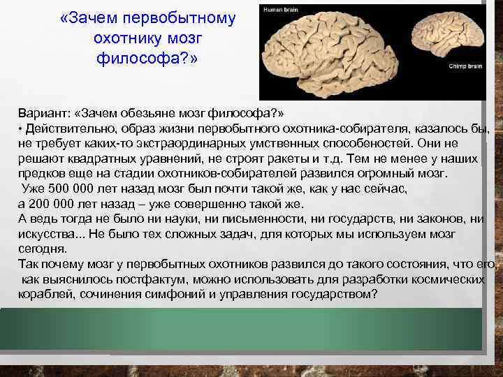  «Зачем первобытному охотнику мозг философа? » Вариант: «Зачем обезьяне мозг философа? » •