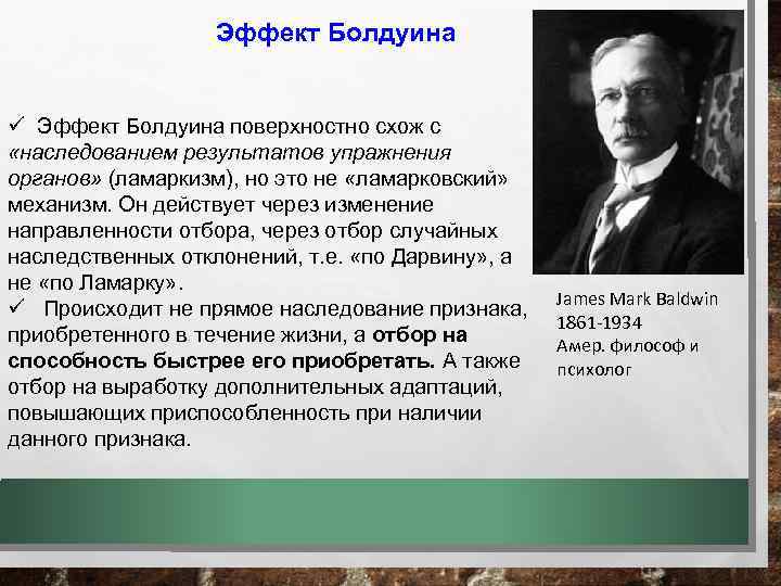 Эффект Болдуина ü Эффект Болдуина поверхностно схож с «наследованием результатов упражнения органов» (ламаркизм), но