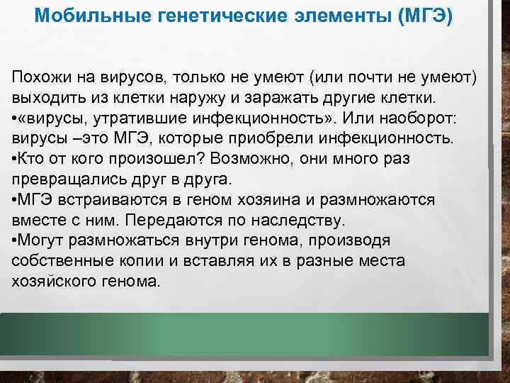 Мобильные генетические элементы (МГЭ) Похожи на вирусов, только не умеют (или почти не умеют)