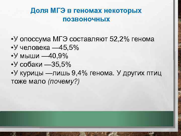 Доля МГЭ в геномах некоторых позвоночных • У опоссума МГЭ составляют 52, 2% генома